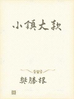 小镇大款封面