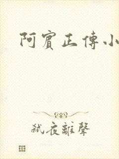 阿宾正传小说封面