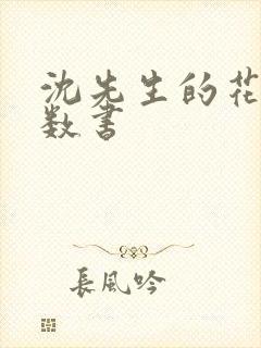 沈先生的花式调数书