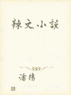 辣文小说