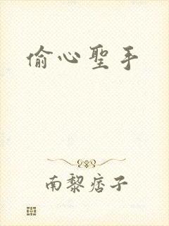 偷心圣手