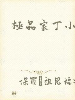 极品家丁小说封面