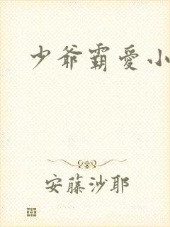 少爷霸爱小丫头