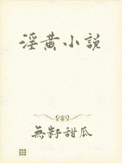 淫黄小说