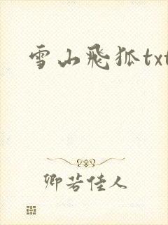 雪山飞狐txt