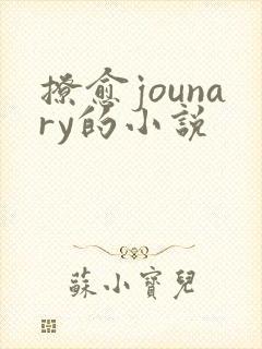 撩愈jounary的小说封面