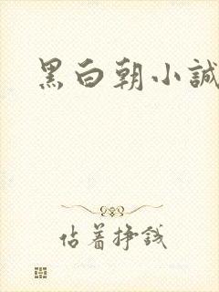 黑白朝小诚封面