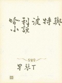 哈利波特与密室小说