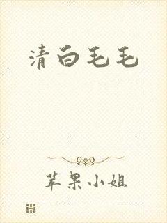 清白毛毛