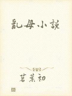 乱母小说
