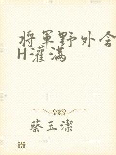 将军野外含公主H灌满封面