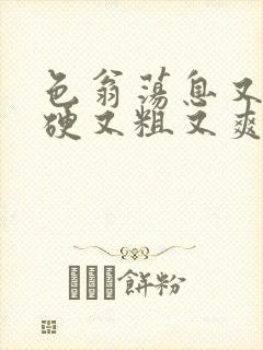 色翁荡息又大又硬又粗又爽
