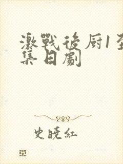 激战后厨1至5集日剧