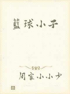 篮球小子