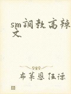 sm调教高辣h文