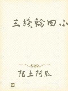 三线轮回小说
