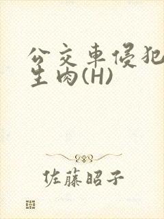 公交车侵犯小男生肉(H)