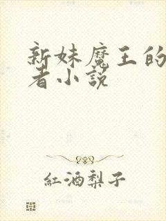 新妹魔王的契约者小说