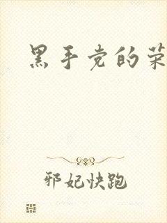黑手党的荣耀封面