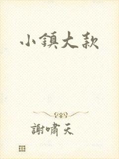 小镇大款