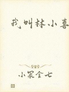 我叫林小喜17