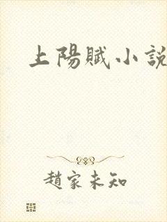 上阳赋小说