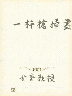一杆枪扫尽全家封面