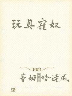 玩具宠奴