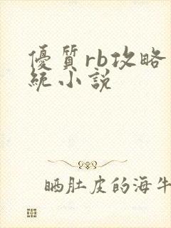 优质rb攻略系统小说