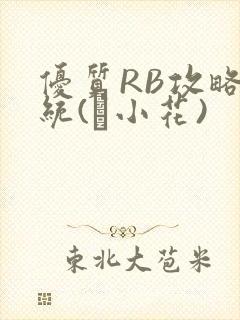 优质RB攻略系统(寀小花)
