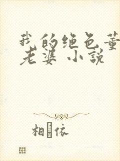 我的绝色董事长老婆 小说封面