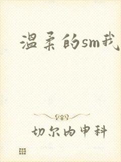 温柔的sm我