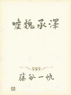 嘘魏承泽封面