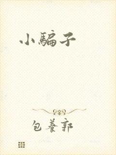 小骗子