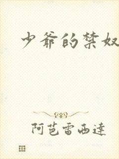 少爷的禁奴封面