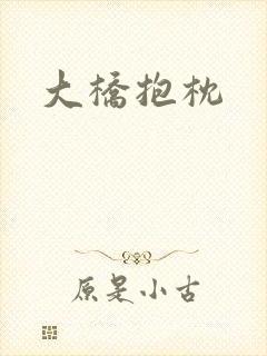 大桥抱枕