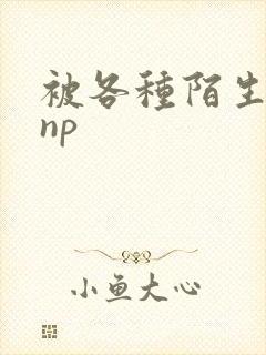 被各种陌生人 np