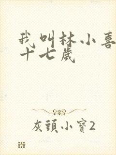 我叫林小喜今年十七岁
