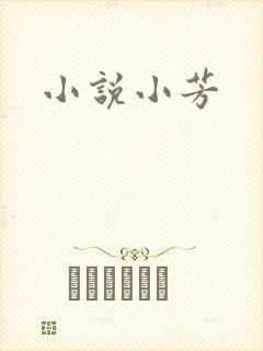 小说小芳封面