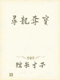 寻龙夺宝