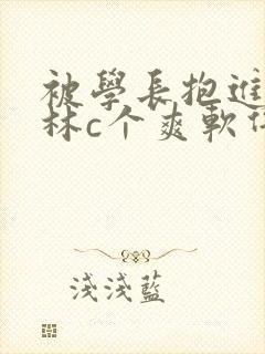 被学长抱进小树林c个爽软件