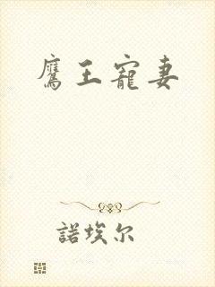 鹰王宠妻