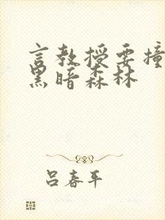 言教授要撞坏了黑暗森林封面