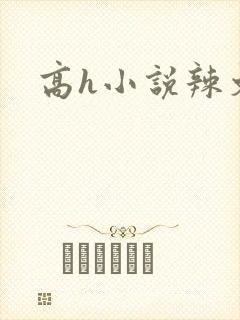 高h小说辣文