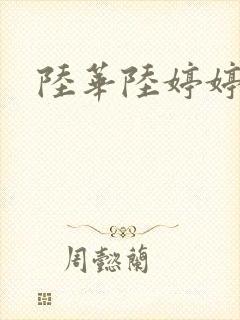 陆华陆婷婷封面