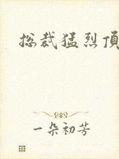总裁猛烈顶弄h