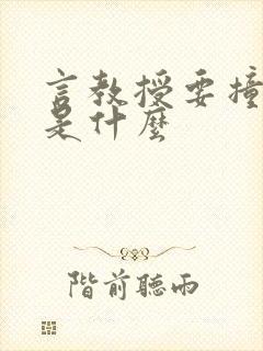 言教授要撞坏了是什么