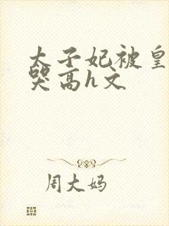 太子妃被皇上c哭高h文