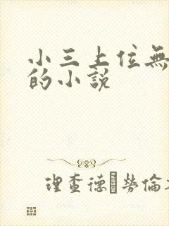 小三上位无三观的小说