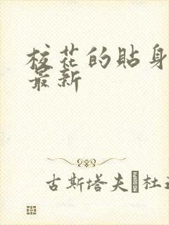 校花的贴身高手最新